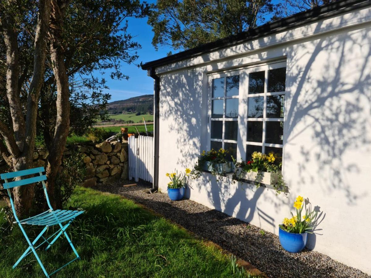 Lynam Cottage Ashford Dış mekan fotoğraf